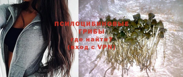 ПСИЛОЦИБИНОВЫЕ ГРИБЫ Богородск