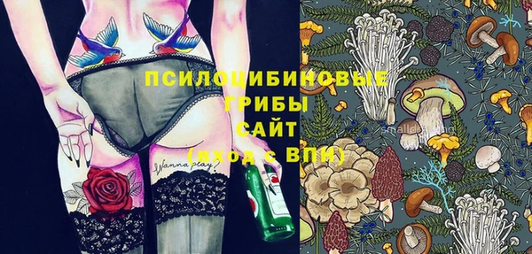 соль ск Богородицк