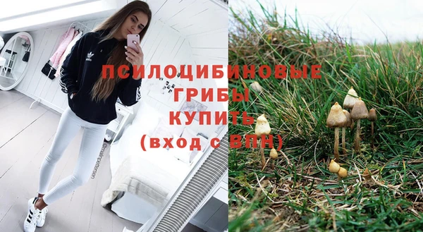 ПСИЛОЦИБИНОВЫЕ ГРИБЫ Баксан