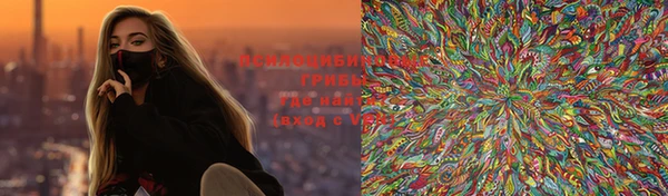 винт Богданович